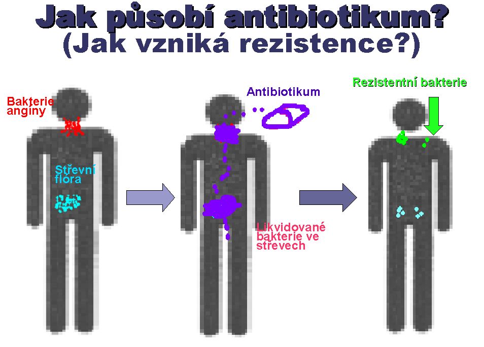 Vznik rezistence